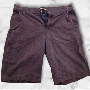 Carbon 2 Cobalt Mens Size 30 Maroon Shorts